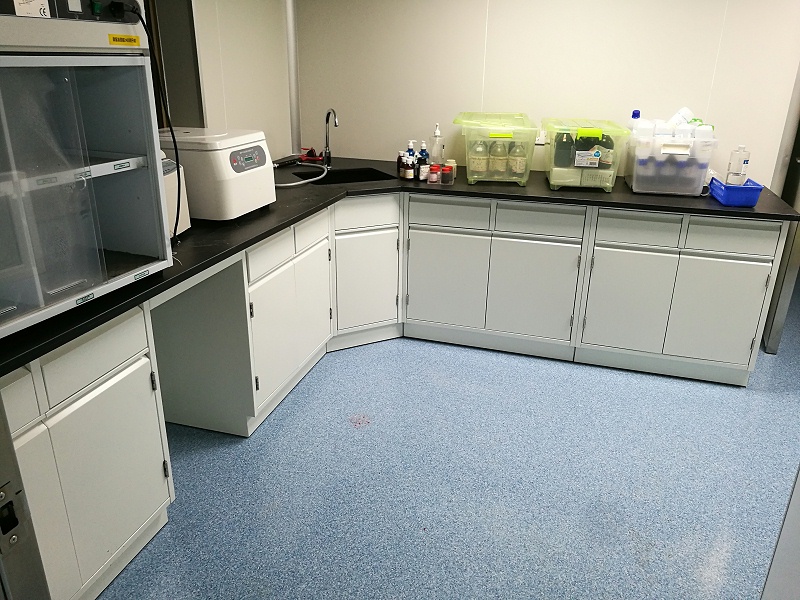 實(shí)驗(yàn)臺通風(fēng)柜